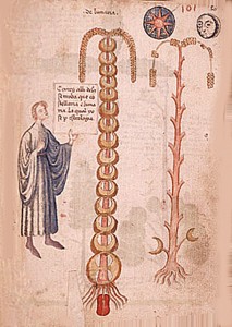 Fra Giovanni di Rupescissa -1310 ca-1365 (immagini web)