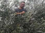 Giovanni Ciotta tra gli ulivi della sua terra