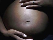 gestation risks_Science_2024 - Copia