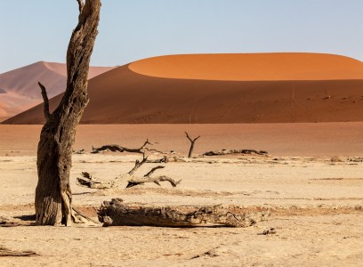 Il lungo processo della desertificazione sul pianeta Terra (immagine Pixabay)